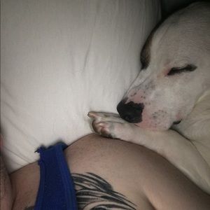 Meet your Posher, Larry